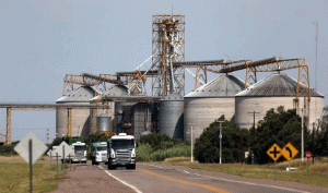 Biodiesel al 100