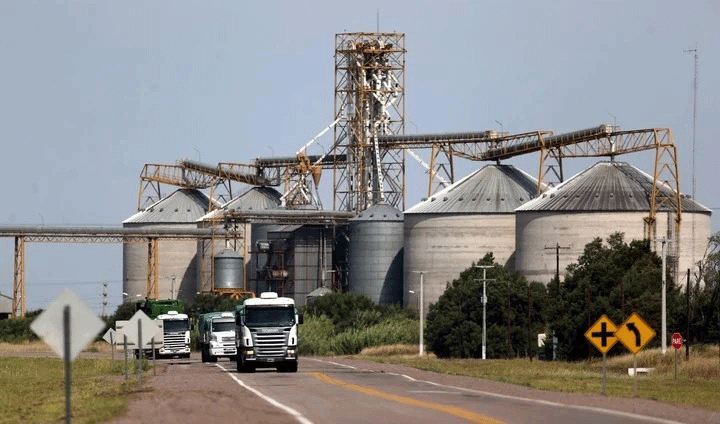 Biodiesel al 100